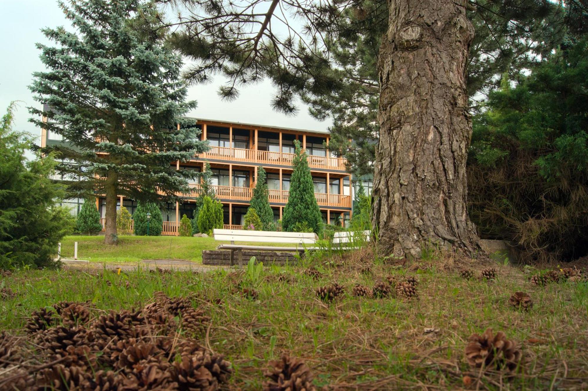 Landhotel Harz Thale Exterior photo