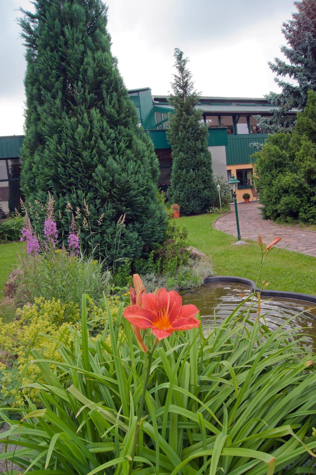 Landhotel Harz Thale Exterior photo